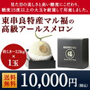 【ふるさと納税】厳選の極玉 マル福の高級アールスメロン 1玉...