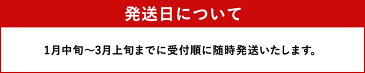【ふるさと納税】厳選の極玉 マル福の高級アールスメロン 2玉 約2.0〜2.5kg メロン 高級 大玉 フルーツ 果物 化粧箱 ギフト 贈り物 期間限定 数量限定 送料無料