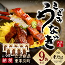 【ふるさと納税】【22382】大隅産 きざみ鰻 9袋セット