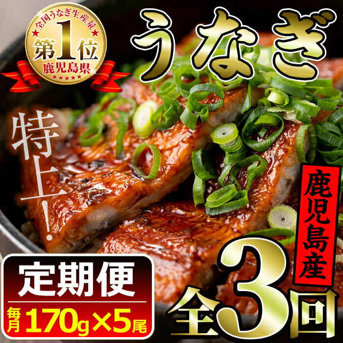 【ふるさと納税】《定期便・全3回お届け》鹿児島県産!地下天然水で育てた特上うなぎ2.5kg超(170g×5尾×3回)1尾ずつ真空パックで!【財宝】【90669】