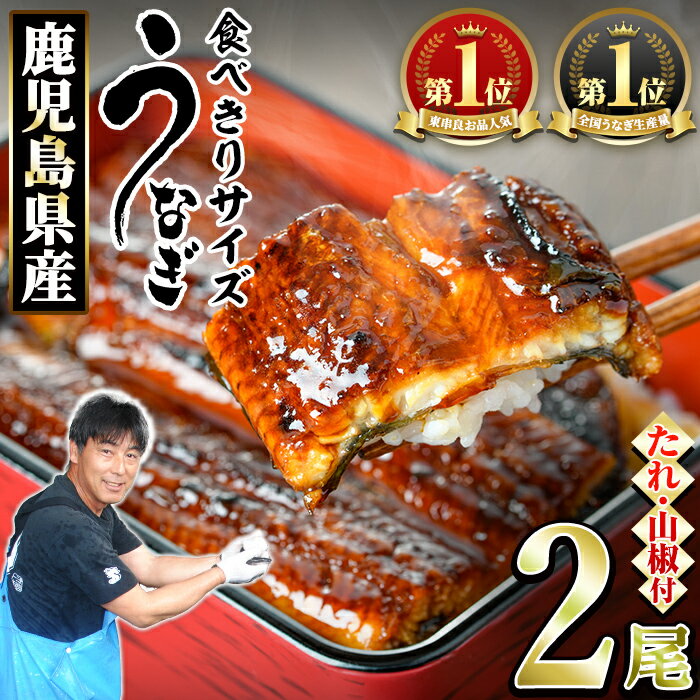 50位! 口コミ数「2件」評価「5」＜食べきりサイズ！＞東串良町のうなぎ蒲焼(無頭)(計2尾・計約200g・タレ、山椒付) うなぎ 蒲焼長焼 ウナギ 鰻 蒲焼き 国産うなぎ 国産 九州産 鹿児島 鹿児島県産 人気 ランキング 高級 家庭･･･ 