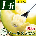 21位! 口コミ数「23件」評価「4.78」＜訳あり＞マル福の高級アールスメロン(1玉・1.7kg)メロン フルーツ 果物 果実 1キロ 数量限定 期間限定【マル福園芸組合】【0111･･･ 