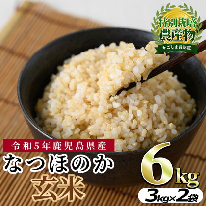 東串良町産！なつほのか玄米(3kg×2袋・計6kg)令和5年産 玄米 お米 こめ 米 6キロ【吉ヶ崎農園】【0102701a】