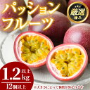 【ふるさと納税】ゆきちゃん農園のパッションフルーツ(1.2kg以上) フルーツ 果物 果実 1キロ 期間限定 国産【ゆきちゃん農園】【0105302a】|詳細画像