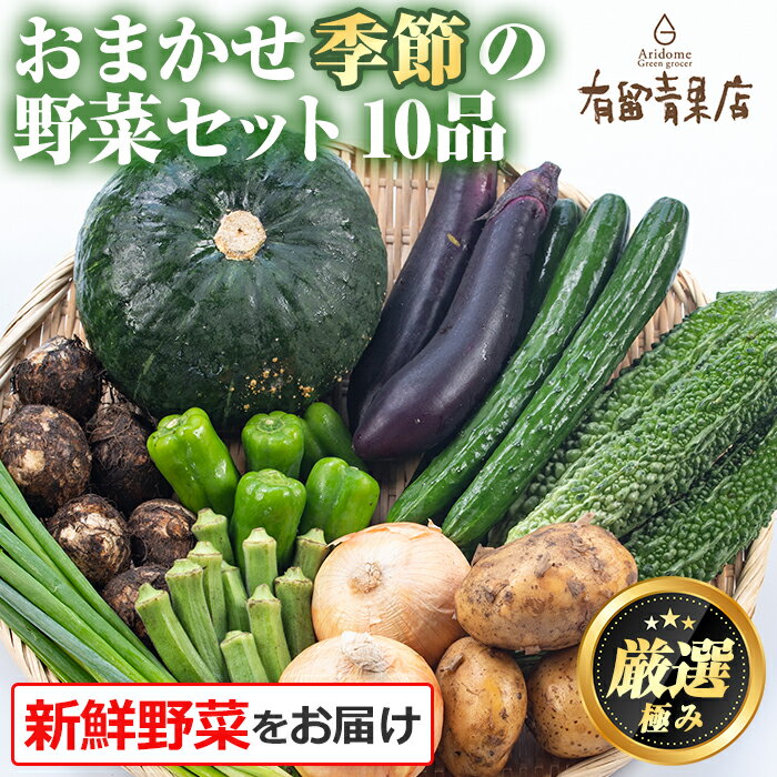 自慢の農家×老舗青果店の新鮮でおいしい野菜・おまかせ便(10品)野菜 セット 詰合せ[有留青果][0113601a]