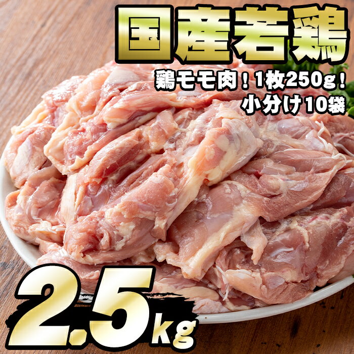 【ふるさと納税】国産若鶏のモモ肉(計2.5kg・鶏モモ肉1枚×10P) 鶏肉 鳥肉 もも肉 むね肉 おかず 小分け 国産【エビス】【0124804a】のサムネイル