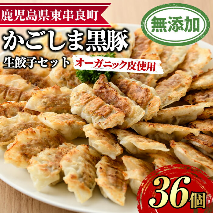 【ふるさと納税】オーガニック皮使用!鹿児島黒豚生餃子セット(12個入×3パック・計36個) 黒豚 豚肉 ぶた肉 餃子 ギョウザ ぎょうざ 惣菜【鹿児島ますや】【...