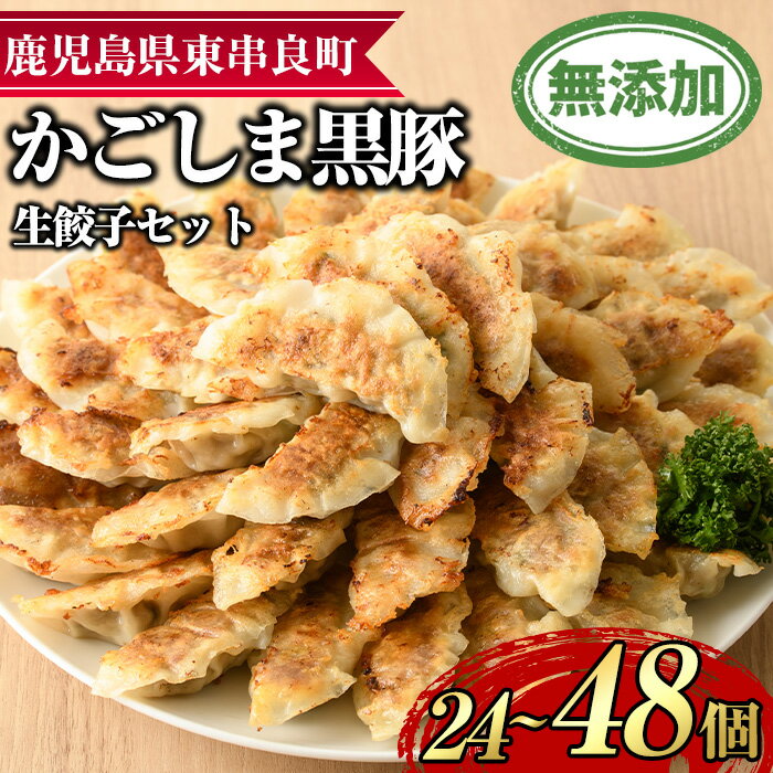【ふるさと納税】<容量が選べる!>鹿児島黒豚生餃子セット(計24個/計48個) 黒豚 豚肉 ぶた肉 餃子 ギョウザ ぎょうざ 惣菜【鹿児島ますや】【012512...