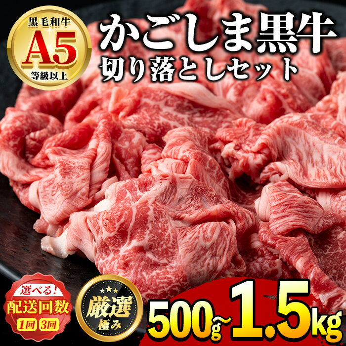 【ふるさと納税】鹿児島県産黒毛和牛！A5等級の切り落とし＜約500g/定期便・約500g×3回＞ 牛肉 肉 切...