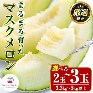 【ふるさと納税】<容量選べる>まるまる育ったマスクメロン(2玉・計3.3kg以上~3玉・計5kg以上) マスクメロン フルーツ 果物 果実 3キロ 5キロ 数量限定 期間限定【まる美園芸組合】【0222203a】【0322204a】
