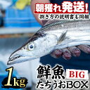 製品仕様 商品名 【0223204a】鮮度が命！鮮魚問屋が厳選した『鮮魚たちうおビッグサイズBOX』 内容量 太刀魚：1尾 重量1kg以上 商品説明 関東の某有名百貨店とも取引のある目利きが厳選した『鮮魚たちうおビッグサイズBOX』 その名の通り大迫力のビッグサイズはめったにお目にかかれません！ きらきらと輝く姿が魅力的な太刀魚、王道の塩焼きやバターで香ばしく太刀魚のムニエルなど… おすすめのお料理例も同梱いたしますので、使い方にも困りません。 【有限会社　江川商店】 昭和30年創業の江川商店。鹿児島県大隅半島一帯で大量に水揚げされる鮮魚の中から4～5箇所の市場に足を運び、鮮度のいい魚を見極め、厳選しています。 ”捌いた魚がスーパーで手軽に買えるこのご時世に、わざわざ丸ごとの魚を選んでもらえるのは嬉しいこと。 箱をあけた時のインパクトを楽しんでもらいたい” 創業60余年、受け継がれた目利き力に叶った魚を江川商店から直送でお届けします。 原材料 太刀魚 賞味期限 お早めにお召し上がりください。 保存方法 冷蔵保存 配送方法 冷蔵 提供元 有限会社 江川商店 注意事項 【必ずご確認ください】 ※下処理はお受けいたしかねます。 ※北海道・沖縄・離島の方はお申し込みいただけません。 ※出荷については、発送メールをご確認ください。 ※指定日はお受けできかねますが、不在日や受け取り不可期間がございましたら、必ず、注文番号とお名前を添えてご連絡ください。 ※6月中旬から8月中旬のお申込みについては品質の都合上、9月頃から順次発送とさせていただきます。 ※年末のお申込みについては1月より順次発送（但し、毎年1月～2月中旬までは雪の影響を受け、発送に遅れが生じる場合もございます） ※水揚げ量により発送までにお時間を頂く場合がございます。 上記内容、あらかじめご了承ください。 ・ふるさと納税よくある質問はこちら ・寄附申込みのキャンセル、返礼品の変更・返品はできません。あらかじめご了承ください。