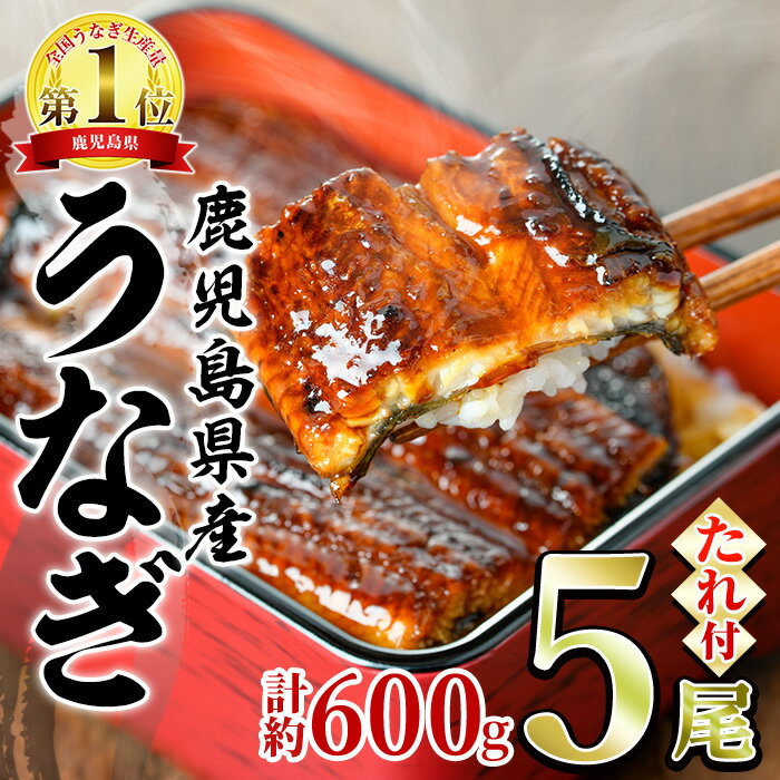 【ふるさと納税】並サイズの満足感！東串良町のうなぎ蒲焼(無頭)(5尾・計約600g・タレ、山椒付) うなぎ 高級 ウナギ 鰻 国産 蒲焼 蒲焼き たれ 鹿児島 ふるさと 人気【アクアおおすみ】【0244311a】