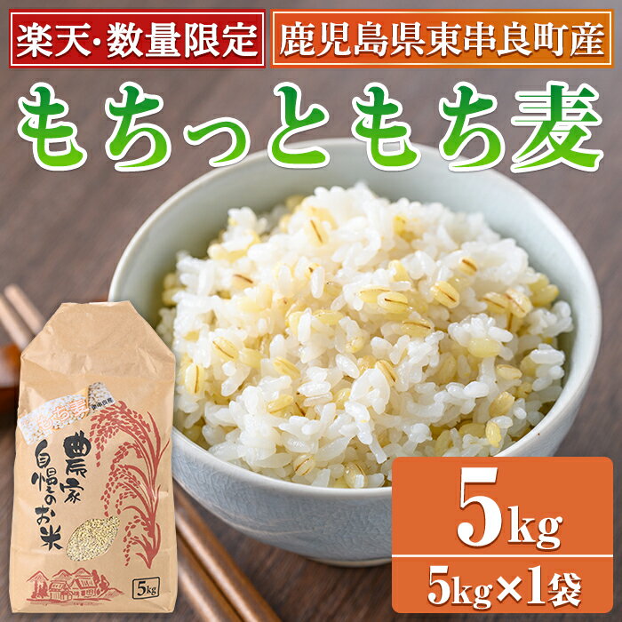 [楽天限定!]物産館おススメ!もちっともち麦(計5kg) 鹿児島県産 もちむぎ もち麦 もち麦ごはん 常温 常温保存 数量限定[東串良物産館ルピノンの里][0255936a]