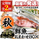 【ふるさと納税】＜定期便・全2回(9月・10月)＞「秋の鮮魚BOX」朝獲れ発送！鮮魚問屋が厳選したおまかせ鮮魚(約2kg程度×2回) 魚 魚介類 鮮魚 海鮮 詰め合わせ セット 刺身 天ぷら 煮つけ 塩焼き【江川商店】【0301102b】