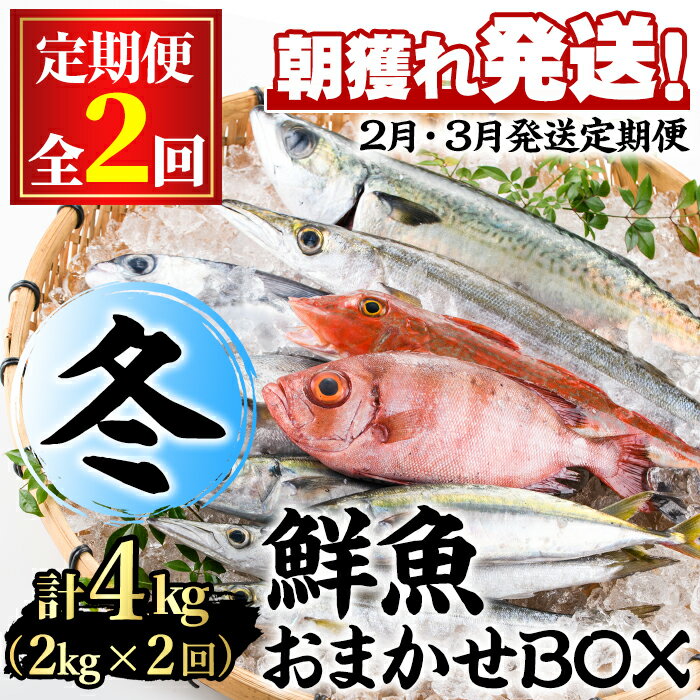 9位! 口コミ数「8件」評価「4.13」＜定期便・全2回(2月・3月)＞「冬の鮮魚BOX」朝獲れ発送！鮮魚問屋が厳選したおまかせ鮮魚(約2kg程度×2回) 魚 魚介類 鮮魚 海鮮 ･･･ 