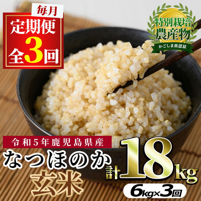 [定期便・全3回(連続)]東串良町産!なつほのか玄米(3kg×2袋×3回・計18kg) 令和5年産 玄米 お米 こめ 米 18キロ[吉ヶ崎農園][0302701b]