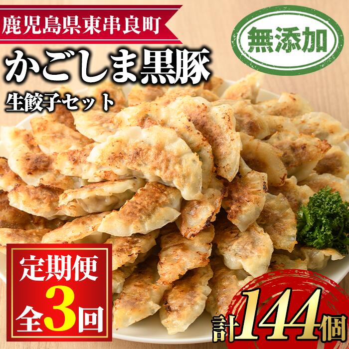 【ふるさと納税】＜定期便・全3回＞鹿児島黒豚生餃子48個セット(12個入×4パック×3回・計144個