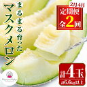 【ふるさと納税】<定期便・全2回(2月・4月)>まるまる育ったマスクメロン(2玉×2回・計6.6kg以上)マスクメロン フルーツ 果物 果実 6キロ 数量限定 期間限定【まる美園芸組合】【0432209b】