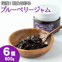 【ふるさと納税】贅沢な国産ブルーベリージャム(100g×6個・計600g) ジャム 瓶 果物 果実 フルーツ パン【村山製油】【12161】