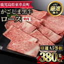 【ふるさと納税】＜特選A5等級＞鹿児島県産黒毛和牛ロース焼肉用 380g 国産 牛肉 肉 冷凍 ロース 鹿児島 焼肉 BBQ バーベキュー【デリカフーズ】【17476】