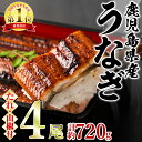 11位! 口コミ数「90件」評価「4.66」\高評価★4.66獲得!/東串良町のうなぎ蒲焼(無頭)(4尾・計約720g・タレ、山椒付) うなぎ 高級 ウナギ 鰻 国産 蒲焼 蒲焼き たれ 鹿児島 ふるさと 人気【アクアおおすみ】【27034】