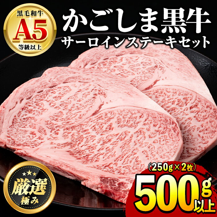 鹿児島県産黒毛和牛!A5等級サーロインステーキ(計500g・約250g×2枚) 国産 牛肉 肉 冷凍 サーロイン 鹿児島 ステーキ 焼肉 BBQ バーベキュー[前田畜産たかしや][30963]