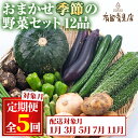 5位! 口コミ数「1件」評価「5」＜定期便・全5回＞自慢の農家×老舗青果店の新鮮でおいしいおまかせ野菜便(12品×5回)野菜 セット 詰合せ 詰め合せ【有留青果】【75956･･･ 