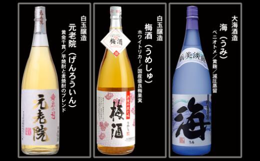 【ふるさと納税】No.10004 大隅蔵めぐり　飲み比べ一升瓶10本セット