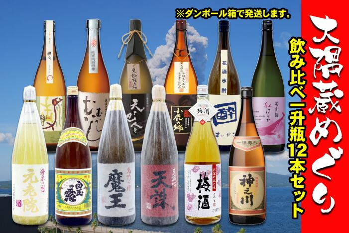 【ふるさと納税】No.10004 大隅蔵めぐり　飲み比べ一升瓶10本セット