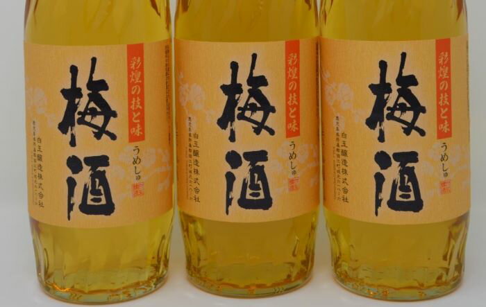 鹿児島県錦江町の画像2