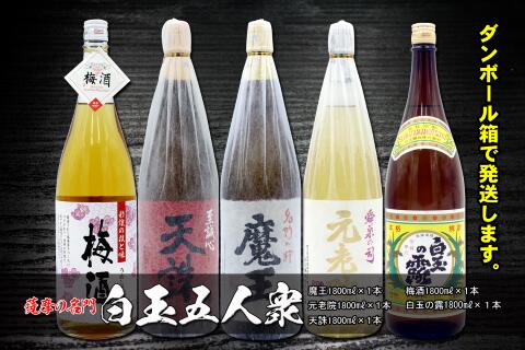 【ふるさと納税】No.5025　薩摩の名門　白玉五人衆　一升瓶5本セット