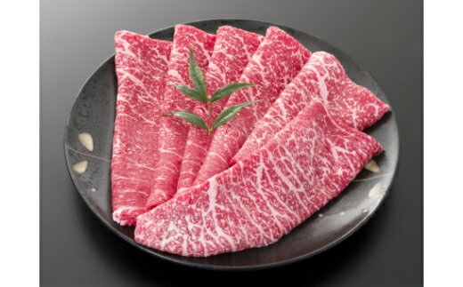 鹿児島県錦江町の画像2