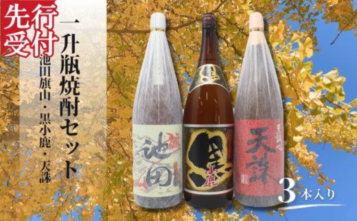 【ふるさと納税】☆先行受付☆No.2119 池田旗山・小鹿黒・天誅（一升瓶） 3本セット