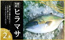 【ふるさと納税】No.1394-1 ふる里館 ヒラマサブロックセット 1ケース
