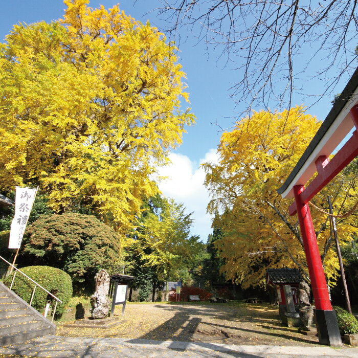 鹿児島県錦江町の画像2