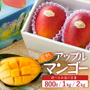 【ふるさと納税】≪マンゴー≫ ☆本土最南端☆佐多の果樹園で育てた 完熟アップルマンゴー 800g/1kg/2kg|鹿児島県 南大隅 産地直送 旬 マンゴー フル...