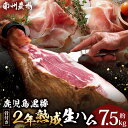 【ふるさと納税】【鹿児島黒豚】 骨付き2年熟成生ハム(6127)