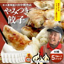 1位! 口コミ数「4件」評価「4.25」佐多の田中肉屋 ニンニクたっぷり やみつき 餃子 60個 (12個入り×5パック) | 本土最南端のお肉屋さんから送る 餃子 美味しい 餃子 南大隅町 餃子