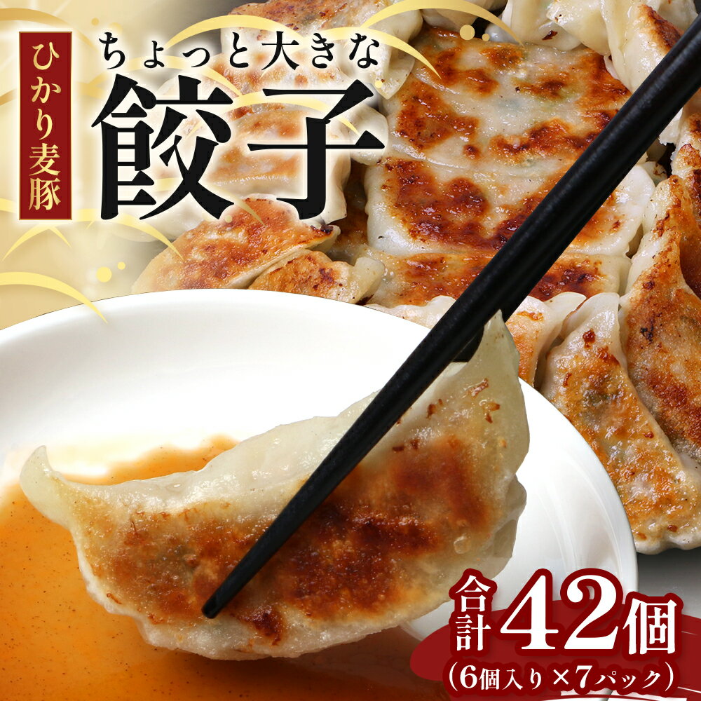 【ふるさと納税】鹿児島県産 ひかり麦豚 \\ちょっと大きな 餃子 42個セット// HM-707 | ぎょうざ ギョウザ 食べ応え抜群 焼き餃子 水餃子 おかず...