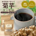 【ふるさと納税】菊芋 コーヒー ティーパック 2袋 ( 4g × 12P )
