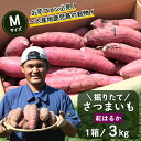 【ふるさと納税】さつまいも 紅はるか 堀りたて 3kg ( 1箱 ) Mサイズ 新物 鹿児島県産 【2025年9月中旬より順次発送】