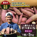 【ふるさと納税】訳あり さつまいも 紅はるか 堀りたて5kg ( 1箱 ) 新物 鹿児島県産 2025年9月順次発送