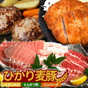 【ふるさと納税】ひかり麦豚 しゃぶしゃぶ 食べ比べ + とんかつ肉 + ハンバーグ セット(4)