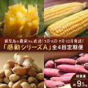 【ふるさと納税】定期便 年4回 農家の感動シリーズA ( 冷凍焼き芋 ゴールドラッシュ 塩茹で落花生 紅はるか )FR-305