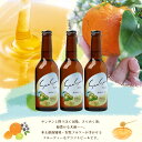 鹿児島県南大隅町の画像2