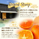鹿児島県南大隅町の画像3