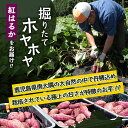 鹿児島県南大隅町の画像2