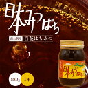 【ふるさと納税】【数量限定】【先行予約・2025年8月発送】日本ミツバチのはちみつ 580g