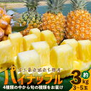 【ふるさと納税】【数量限定!】国産パイナップル 約3kg(3〜5玉)〜なか農園おまかせセット〜 |鹿児島県 南大隅 産地直送 旬 パイン ハワイ種 ピーチパイン...
