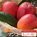 【ふるさと納税】≪マンゴー≫【訳あり】 ☆本土最南端☆佐多の果樹園で育てた 完熟アップルマンゴー1kg (2~3玉) 家庭用|鹿児島県 南大隅 産地直送 旬 マンゴー フルーツ 果物 くだもの V7409